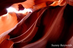Arizona-4