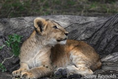 Tanzania-1