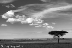Tanzania-2