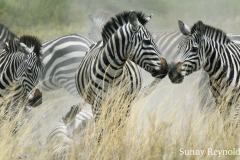 Tanzania-3