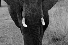 Tanzania-4
