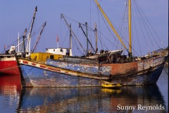 The-Black-Sea-1