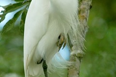 Costa-Rica-2