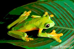 Costa-Rica-4