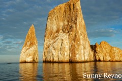 Galapagos-3