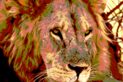 Tanzania-1