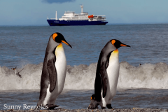 Antarctica-1