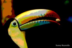 Costa-Rica-2