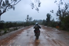 Madagascar-1
