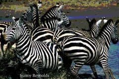 Tanzania-2
